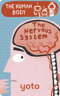 The Human Body: The Nervous System